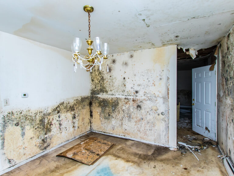 The Hidden Threat in American Homes: Decoding the Toxin Problem and its Impact on Health